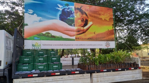 Prefeitura distribui mudas nativas e frutíferas na praça Élio Micheloni, nesta segunda-feira