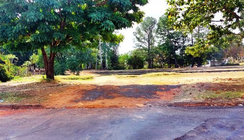 Prefeitura é questionada na Câmara sobre não fechamento de passagem clandestina de veículos