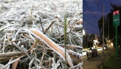Baixas temperaturas provocam geada em Adamantina; termômetros marcaram 1°C