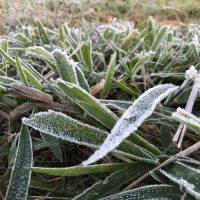 F2jpg162505123860dc50665c2a5