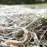 F3jpg162505121960dc5053045ef