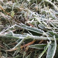 F5jpg162505120360dc50439014f