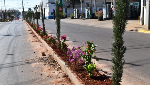Prefeitura de Adamantina inicia projeto de paisagismo da Avenida da Saudade