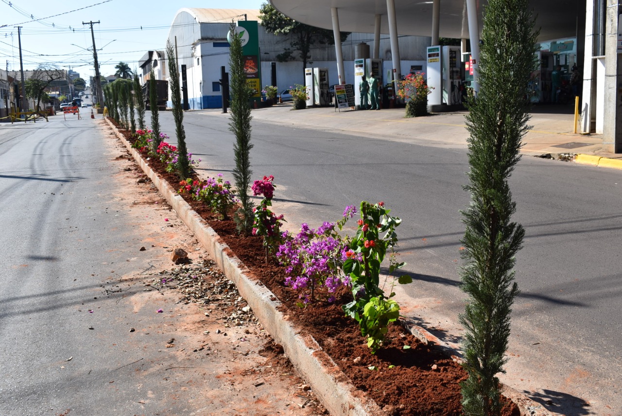 Prefeitura de Adamantina inicia projeto de paisagismo da Avenida da Saudade