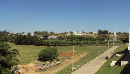 Paredes Alvas e Aloprados/as provincianos/as...