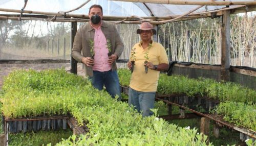 Espaços verdes de Adamantina começam a ser recuperados em projeto de paisagismo