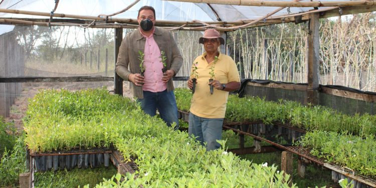 Espaços verdes de Adamantina começam a ser recuperados em projeto de paisagismo