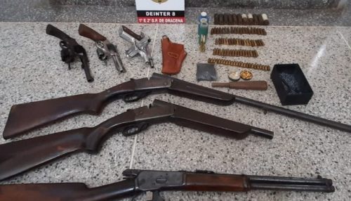 Polícia Civil prende homem e apreende várias armas e munições