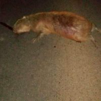 WhatsApp Image 2021 07 30 At 08.02.33 1024x576