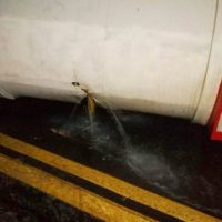 WhatsApp Image 2021 07 30 At 08.02.35 1024x576