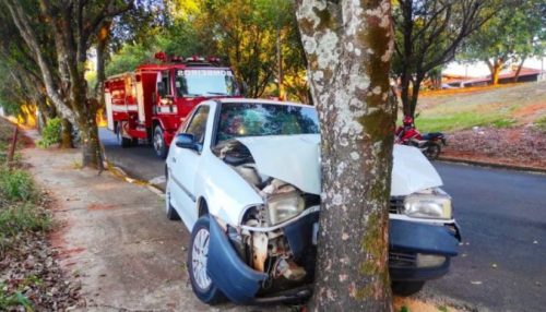 Mãe e filho ficam feridos após colidir veículo contra árvore
