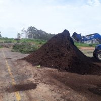 Compostagem (11)