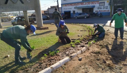 Prefeitura de Adamantina prossegue a revitalização e paisagismo de avenidas, canteiros e trevos