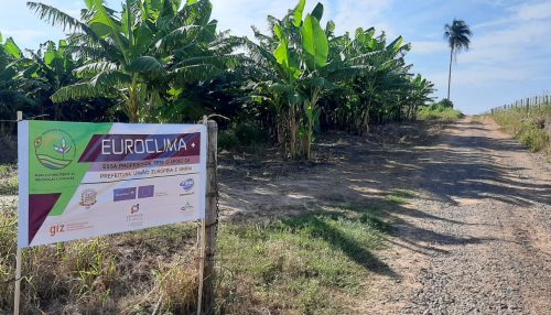 Assistência técnica disponibilizada gratuitamente pelo Euroclima+ aos produtores de Adamantina gera aumento de 25% na produção