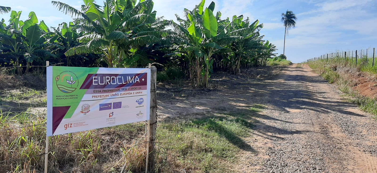 Assistência técnica disponibilizada gratuitamente pelo Euroclima+ aos produtores de Adamantina gera aumento de 25% na produção