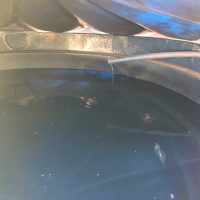 Img6005jpg162636883560f06b432acd6