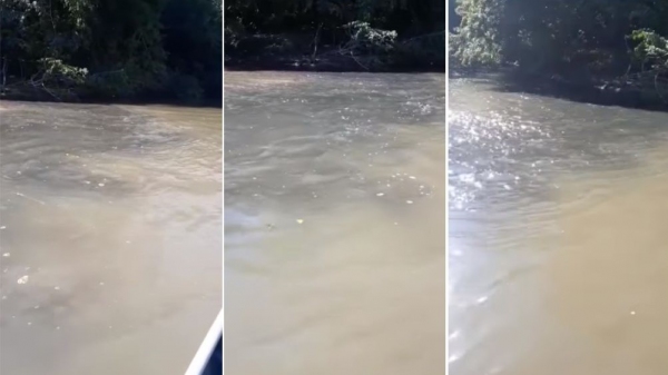 Após denúncia em vídeos sobre poluição em afluente do Rio Aguapeí, Cetesb multa usina em Valparaíso