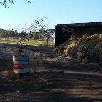 Whatsapp Image 20210707 At 085536jpg162566129560e59f6f157c4