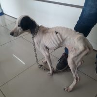 Whatsapp Image 20210720 At 193412 1jpg162687129160f815fb82afc