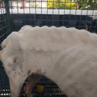 Whatsapp Image 20210720 At 193413 1jpg162687113560f8155f31cb2