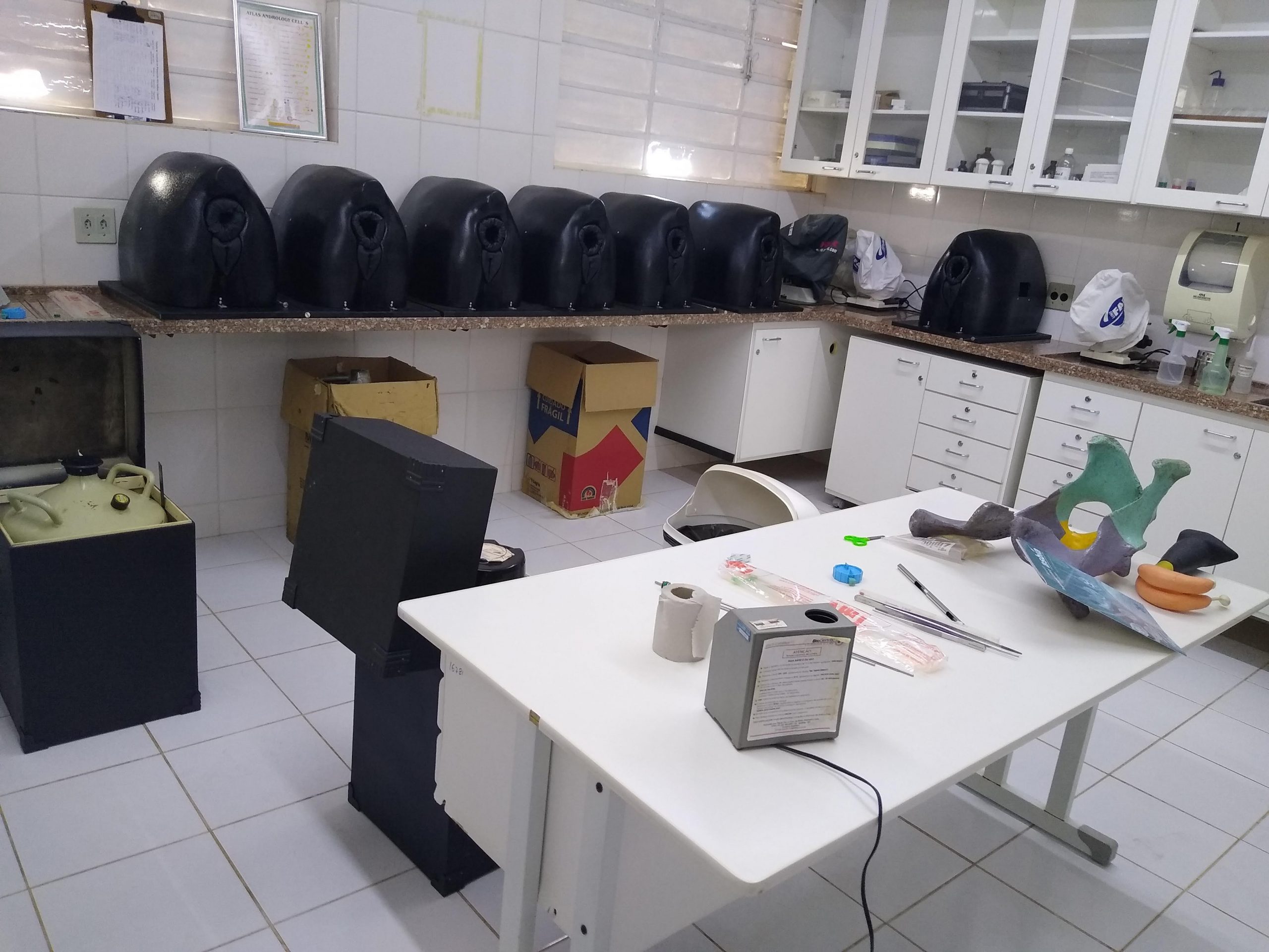 Medicina Veterinária inicia aula prática de Inseminação Artificial em Bovinos na UniFAI