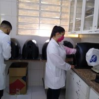 2 Simulador De IA Bovino