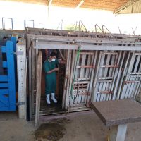 5 Treinamento Em Vacas 01