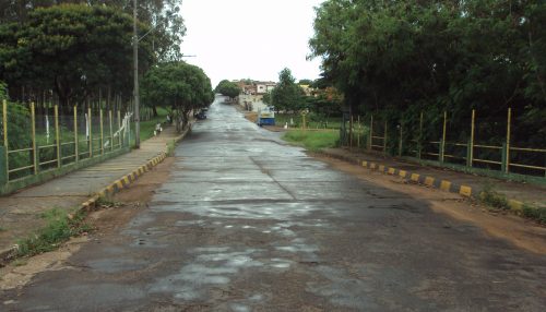 Província, Mercado e Pandemia...