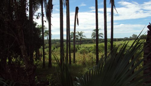 ALFRED RUSSEL WALLACE: Viagem ao Arquipélago Malaio...