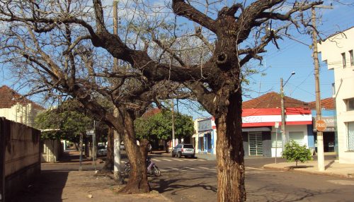 “Como se tornar um Tirano”