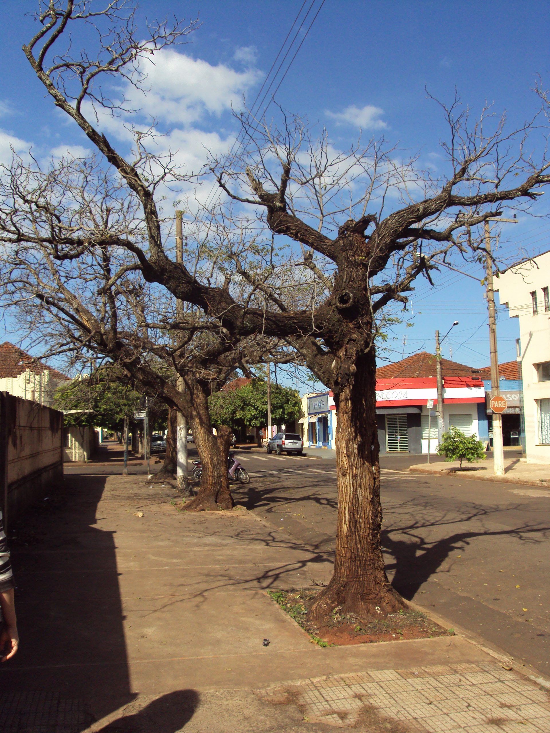 “Como se tornar um Tirano”