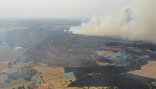 Queimada atinge 400 mil metros quadrados de vegetação em Junqueirópolis
