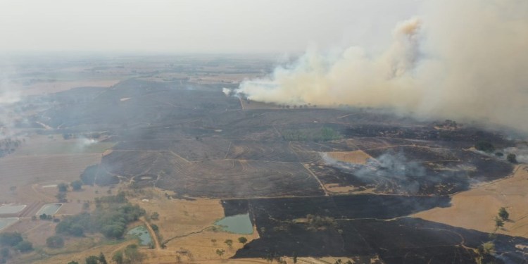 Queimada atinge 400 mil metros quadrados de vegetação em Junqueirópolis