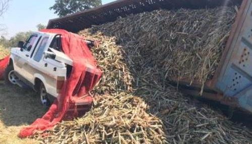 Parte de bitrem carregado de cana tomba sobre caminhonete na SP-294
