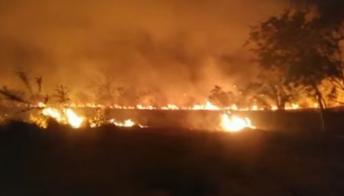 Incêndio de grandes proporções atinge área de vegetação no San Miguel II