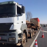 Foto Folharegional 4