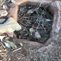 Img2462jpg1629396607611e9e7fa22b9