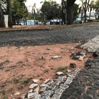 Img6597jpg1629396473611e9df93510b