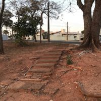 Img66061jpg1629396576611e9e60dfc50