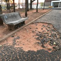 Img6608jpg1629396497611e9e1144418