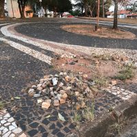 Img6609jpg1629396508611e9e1c0bba8