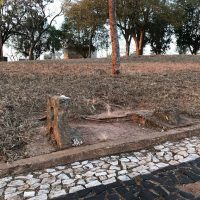 Img6614jpg1629396676611e9ec49f4cb