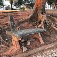 Img6619jpg1629396537611e9e391ac6c