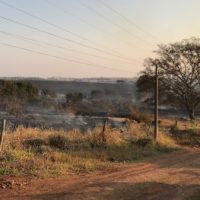 Img6629jpg1628715496611439e83ab4b