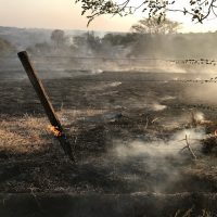 Img6637jpg162871556861143a3028d8b