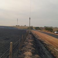 Irapuru1jpg16299279606126ba18a66c6