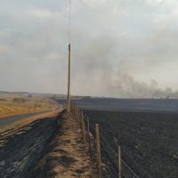 Irapuru2jpg16299279936126ba3904d07