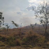 Irapuru5jpg16299280046126ba44d37f7