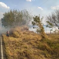 Irapuru7jpg16299279796126ba2b4bdc6