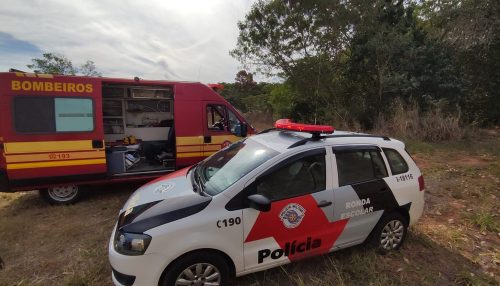 Ossada humana é encontrada em chácara